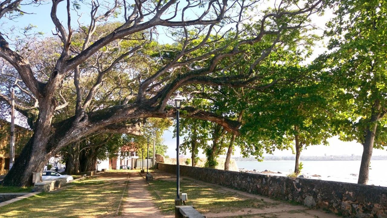 Oesis - Stylish Villa Steps From Historic Galle Fort Eksteriør billede